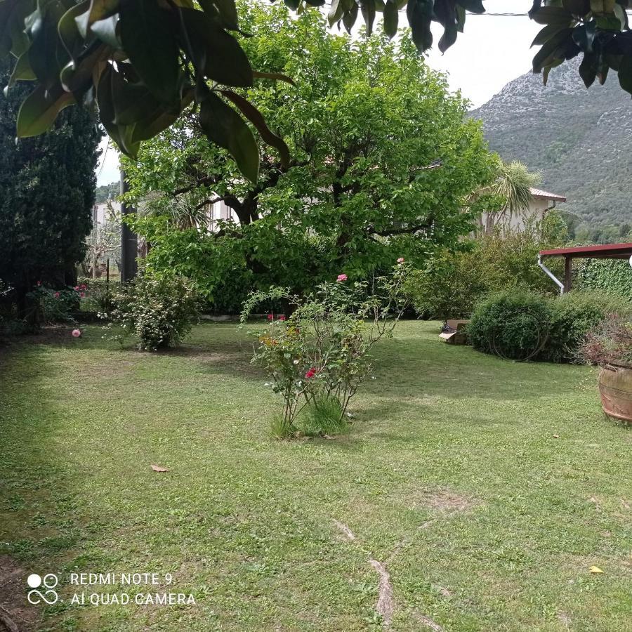 Holiday home Dello Scrittore *
